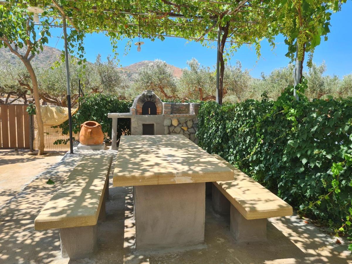 Vila Pause Serenity House Into Olive Groves Agios Fotios Exteriér fotografie