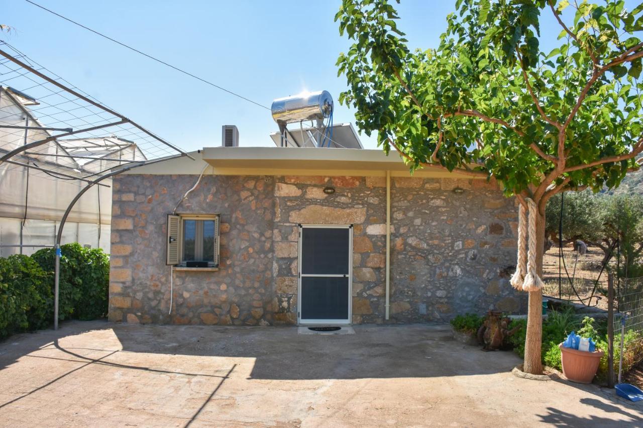 Vila Pause Serenity House Into Olive Groves Agios Fotios Exteriér fotografie