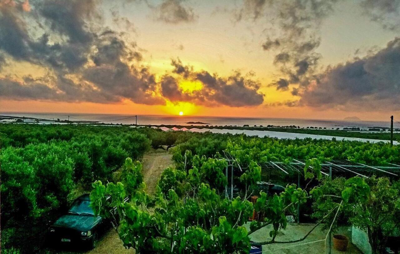 Vila Pause Serenity House Into Olive Groves Agios Fotios Exteriér fotografie